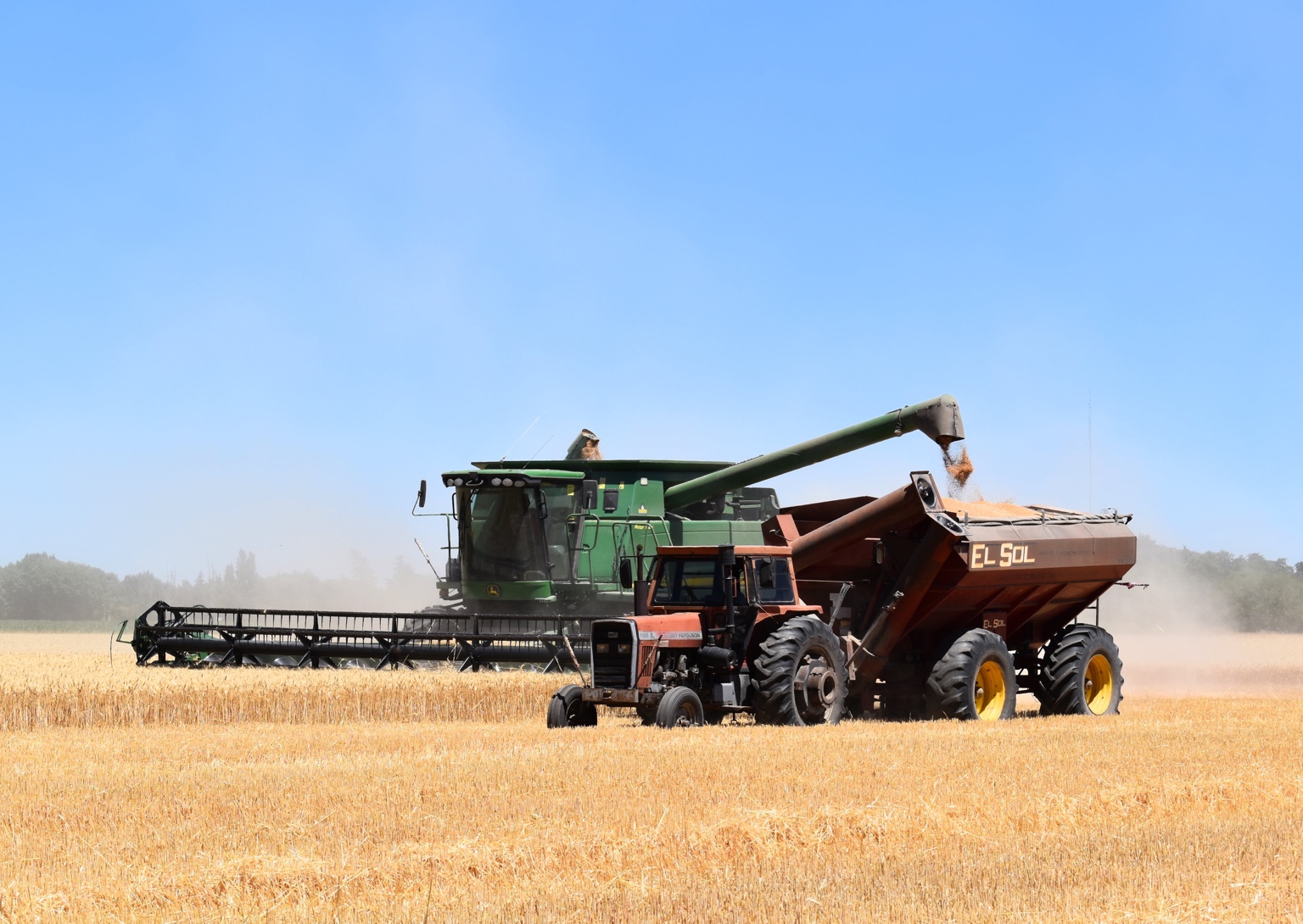 Combine unloading grain into a tractor-pulled grain cart in a golden field